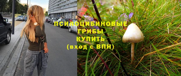 эйфоретик Белокуриха