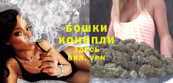 эйфоретик Белокуриха