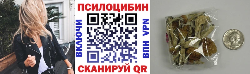 Псилоцибиновые грибы мицелий  Константиновск 